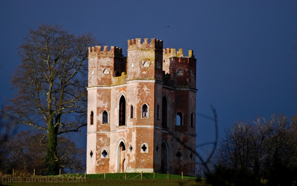 14в Powderham Castle is in the town of Kenton, Devon.jpg